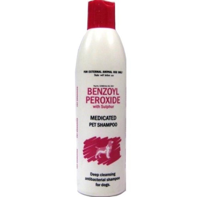 Benzoyl Peroxide Shampoo 250ml Grooming Live Pooch